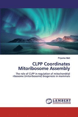 CLPP Coordinates Mitoribosome Assembly 1