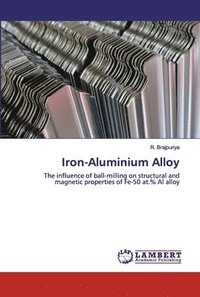 bokomslag Iron-Aluminium Alloy