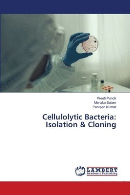 Cellulolytic Bacteria 1