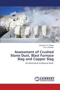 bokomslag Assessment of Crushed Stone Dust, Blast Furnace Slag and Copper Slag
