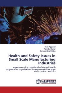 bokomslag Health and Safety Issues in Small Scale Manufacturing Industries