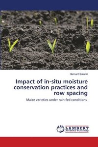 bokomslag Impact of in-situ moisture conservation practices and row spacing