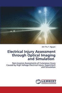 bokomslag Electrical Injury Assessment through Optical Imaging and Simulation
