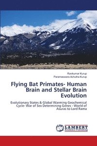 bokomslag Flying Bat Primates- Human Brain and Stellar Brain Evolution