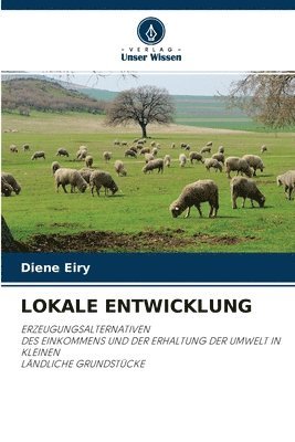 bokomslag Lokale Entwicklung