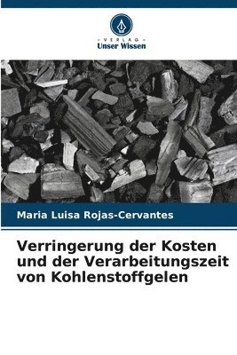 Verringerung der Kosten und der Verarbeitungszeit von Kohlenstoffgelen 1