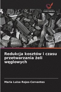 bokomslag Redukcja kosztw i czasu przetwarzania &#380;eli w&#281;glowych