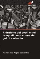 bokomslag Riduzione dei costi e dei tempi di lavorazione dei gel di carbonio