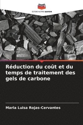 bokomslag Rduction du cot et du temps de traitement des gels de carbone