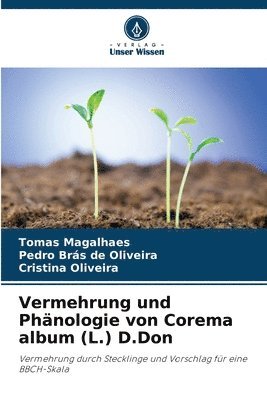 bokomslag Vermehrung und Phänologie von Corema album (L.) D.Don