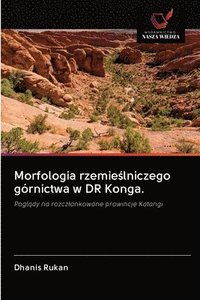 bokomslag Morfologia rzemie&#347;lniczego grnictwa w DR Konga.