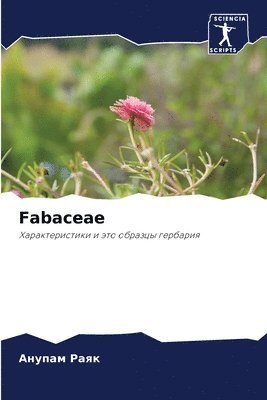 Fabaceae 1