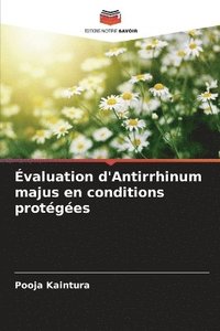 bokomslag valuation d'Antirrhinum majus en conditions protges