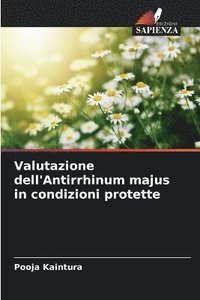 bokomslag Valutazione dell'Antirrhinum majus in condizioni protette