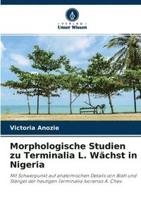 bokomslag Morphologische Studien zu Terminalia L. Wchst in Nigeria