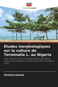 bokomslag Etudes morphologiques sur la culture de Terminalia L. au Nigeria