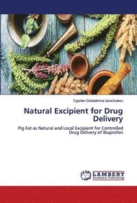bokomslag Natural Excipient for Drug Delivery