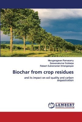 Biochar from crop residues 1