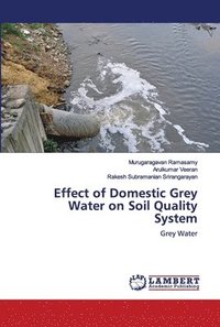 bokomslag Effect of Domestic Grey Water on Soil Quality System