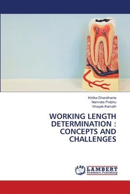 Working Length Determination 1