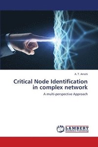 bokomslag Critical Node Identification in complex network