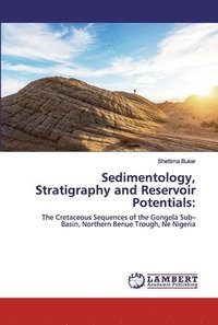 bokomslag Sedimentology, Stratigraphy and Reservoir Potentials