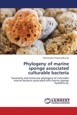 bokomslag Phylogeny of marine sponge associated culturable bacteria