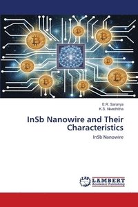 bokomslag InSb Nanowire and Their Characteristics
