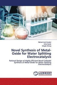bokomslag Novel Synthesis of Metal-Oxide for Water Splitting Electrocatalysis