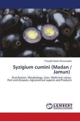 Syzigium cumini (Madan / Jamun) 1