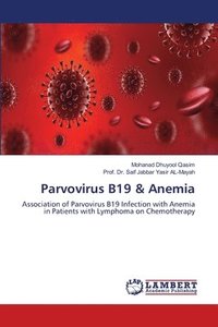 bokomslag Parvovirus B19 & Anemia
