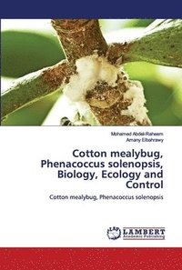 bokomslag Cotton mealybug, Phenacoccus solenopsis, Biology, Ecology and Control