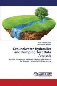 bokomslag Groundwater Hydraulics and Pumping Test Data Analysis