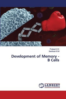 bokomslag Development of Memory - B Cells