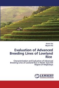 bokomslag Evaluation of Advanced Breeding Lines of Lowland Rice