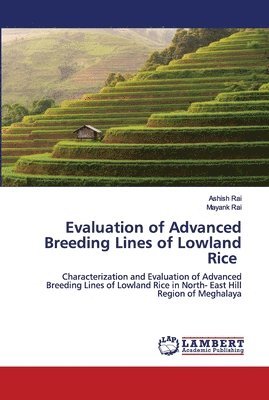 Evaluation of Advanced Breeding Lines of Lowland Rice 1
