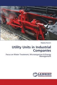 bokomslag Utility Units in Industrial Companies
