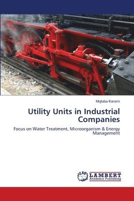 bokomslag Utility Units in Industrial Companies