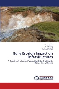 bokomslag Gully Erosion Impact on Infrastructures