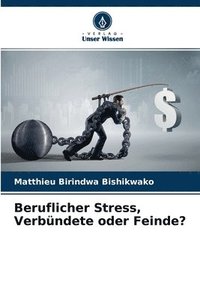 bokomslag Beruflicher Stress, Verbndete oder Feinde?