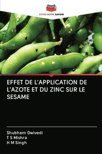 bokomslag Effet de l'Application de l'Azote Et Du Zinc Sur Le Sesame