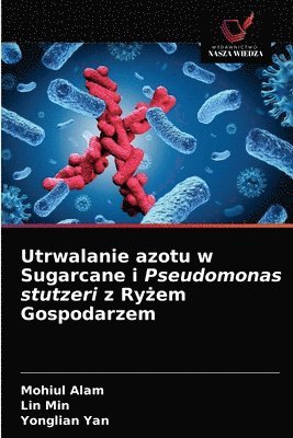 Utrwalanie azotu w Sugarcane i Pseudomonas stutzeri z Ry&#380;em Gospodarzem 1