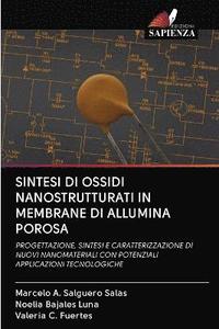 bokomslag Sintesi Di Ossidi Nanostrutturati in Membrane Di Allumina Porosa