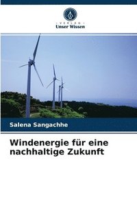 bokomslag Windenergie fr eine nachhaltige Zukunft