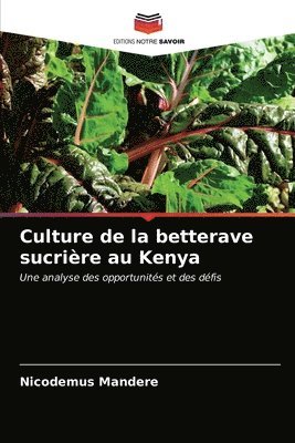 Culture de la betterave sucrire au Kenya 1