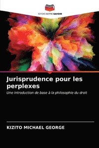 bokomslag Jurisprudence pour les perplexes