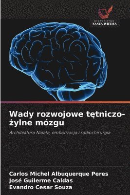 Wady rozwojowe t&#281;tniczo-&#380;ylne mózgu 1