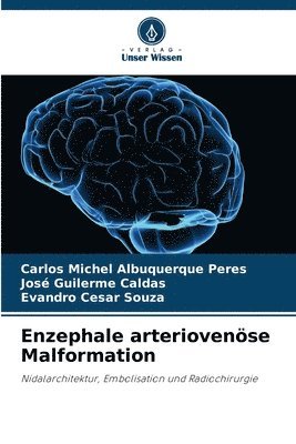 Enzephale arteriovenöse Malformation 1