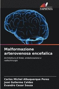 bokomslag Malformazione arterovenosa encefalica