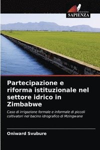 bokomslag Partecipazione e riforma istituzionale nel settore idrico in Zimbabwe